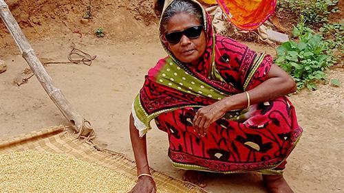 Patientin aus Indien, nach Katarakt-OP, mit Sonnenbrille, sortiert Getreide